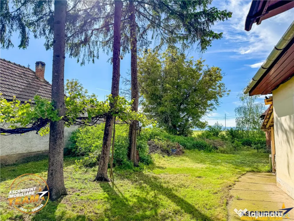 FILM! Casa pitoreasca anexe 1.500mp teren, Santionlunca, 