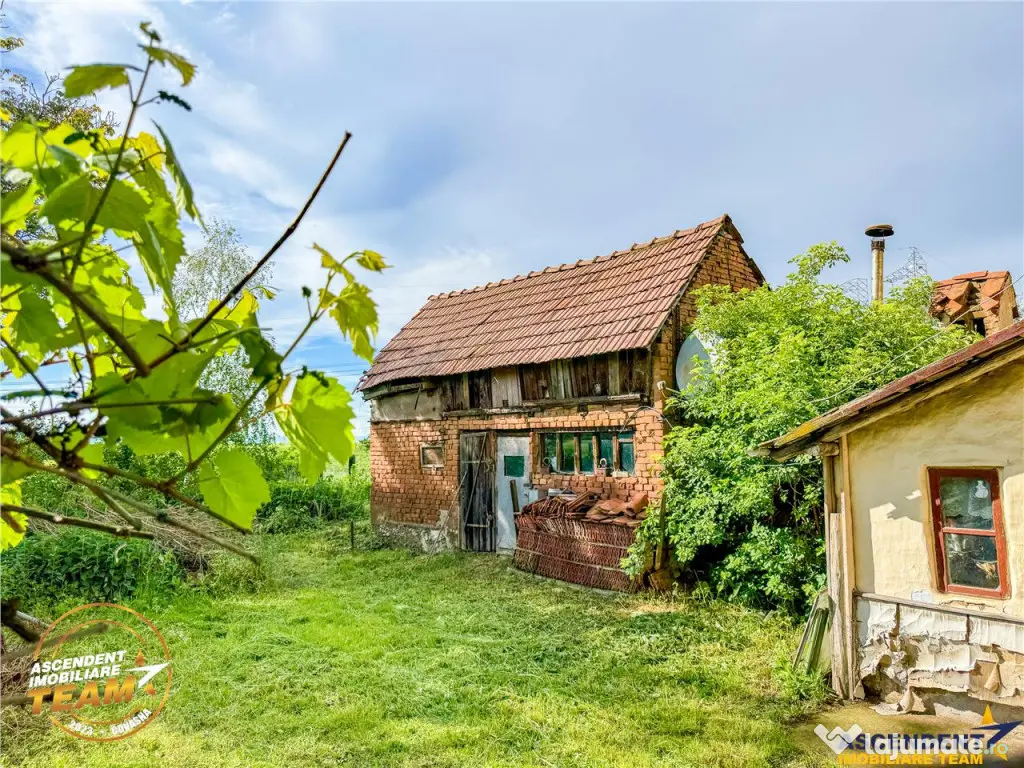 FILM! Casa pitoreasca anexe 1.500mp teren, Santionlunca, 