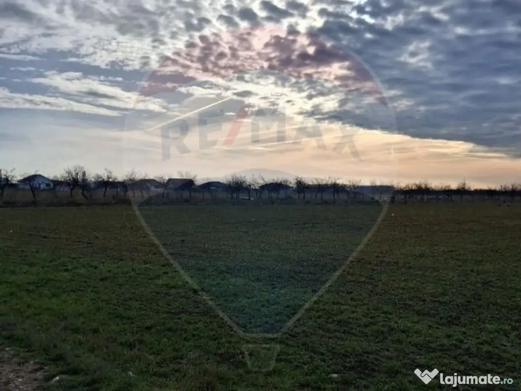 Teren 5,700mp Santion / None