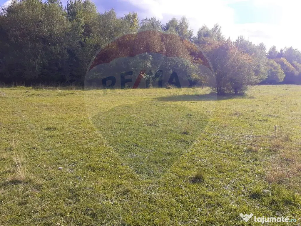 Teren extravilan Rasnov , Glajerie-Str Poiana velicanului...