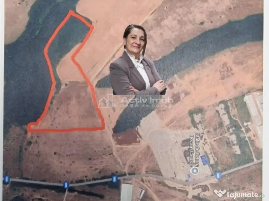 Bocsa Romana, 2 terenuri intravilan, 10.000 Mp.(62.000 Euro)