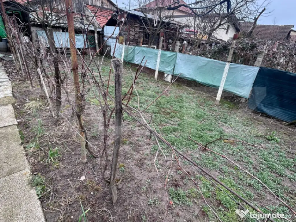 Casă individuală de vânzare – teren 386, Timisoara