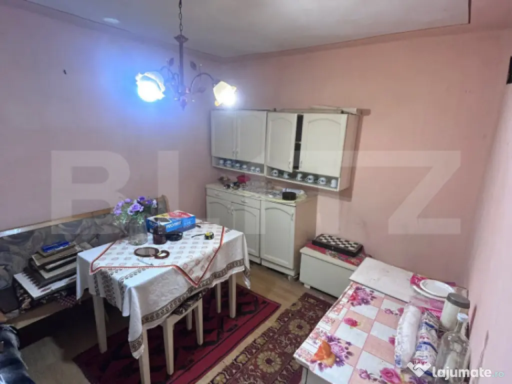 Casă individuală de vânzare – teren 386, Timisoara