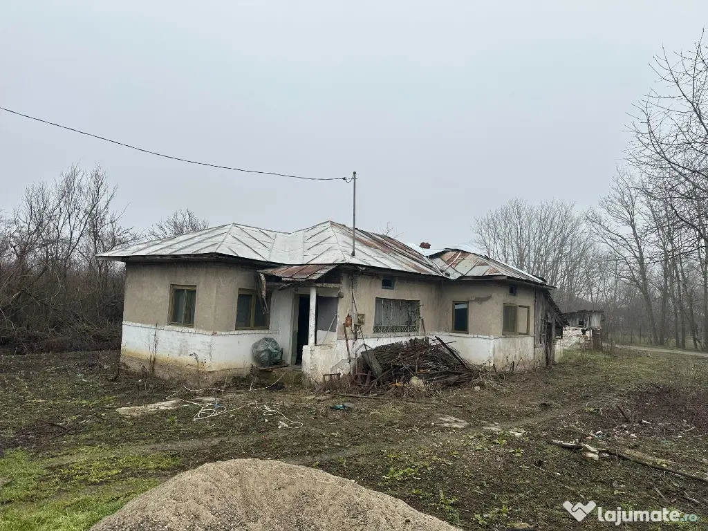 VIGAFON - Casa 2 camere Cornesti-Dambovita 