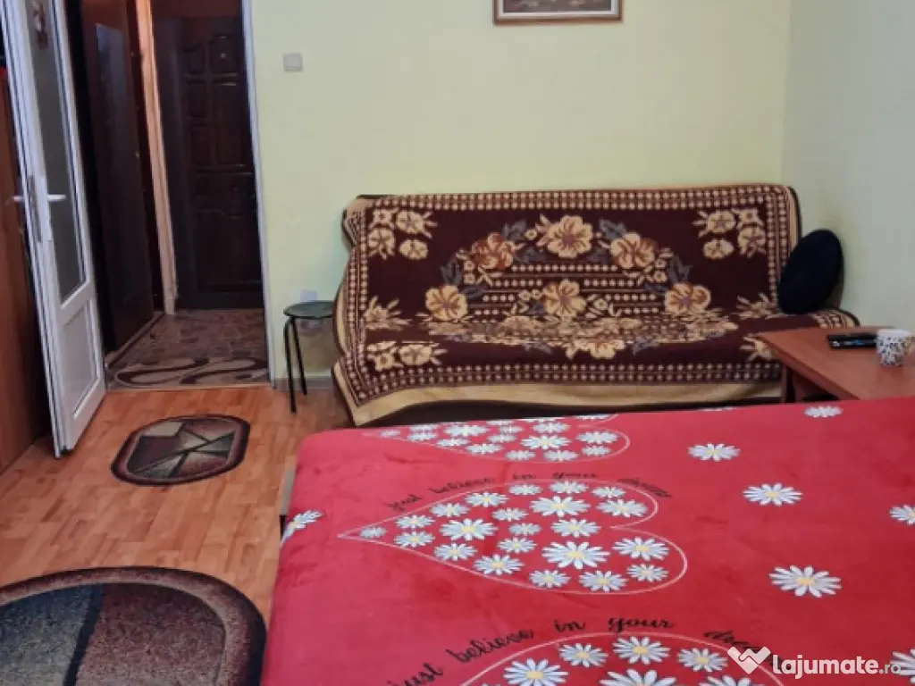 Garsoniera de vanzare, 30.47 mp, zona Brazda lui Novac