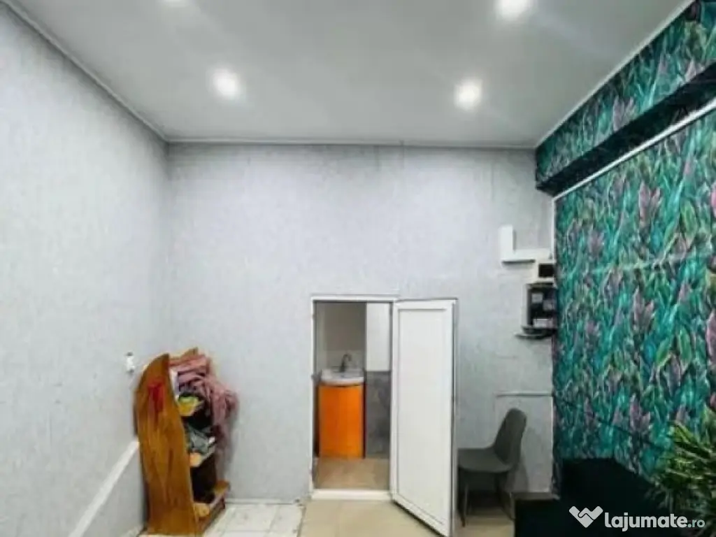 Spatiu stradal Iancului 