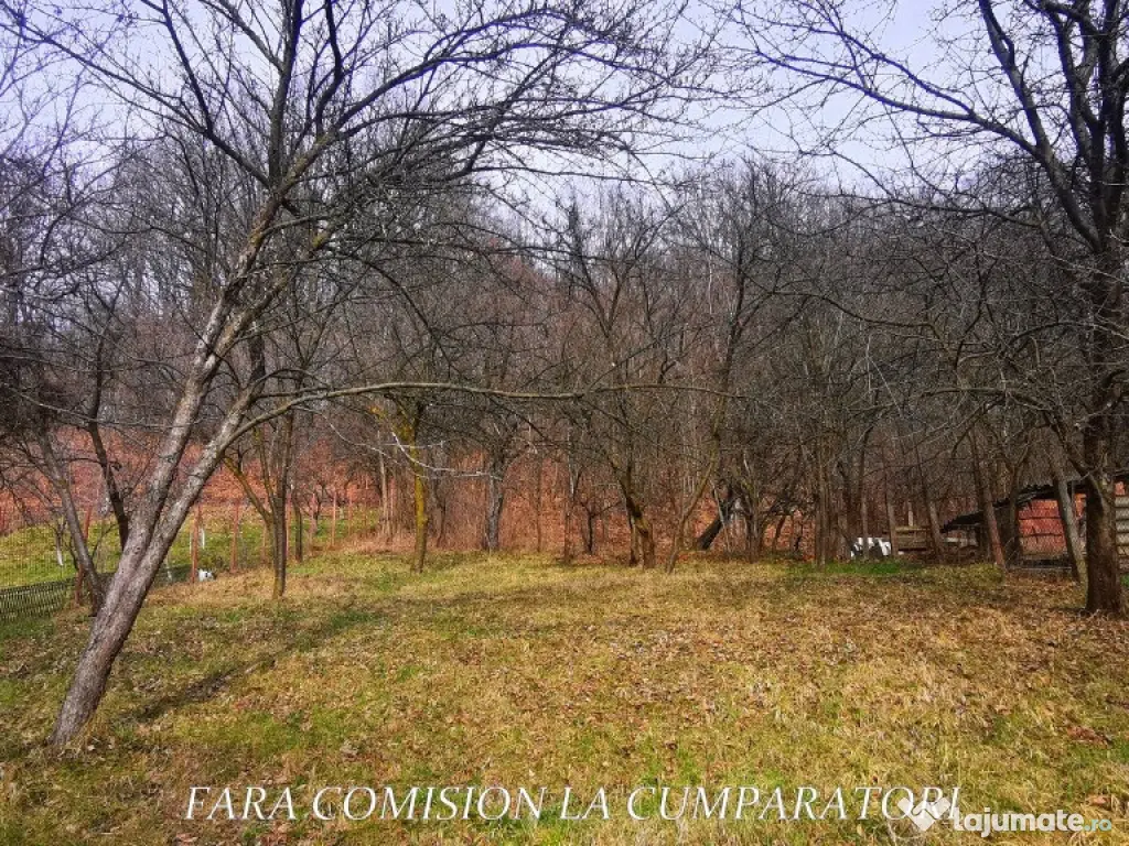 STIRBEI - VODA, CASA CU TEREN 2000 MP