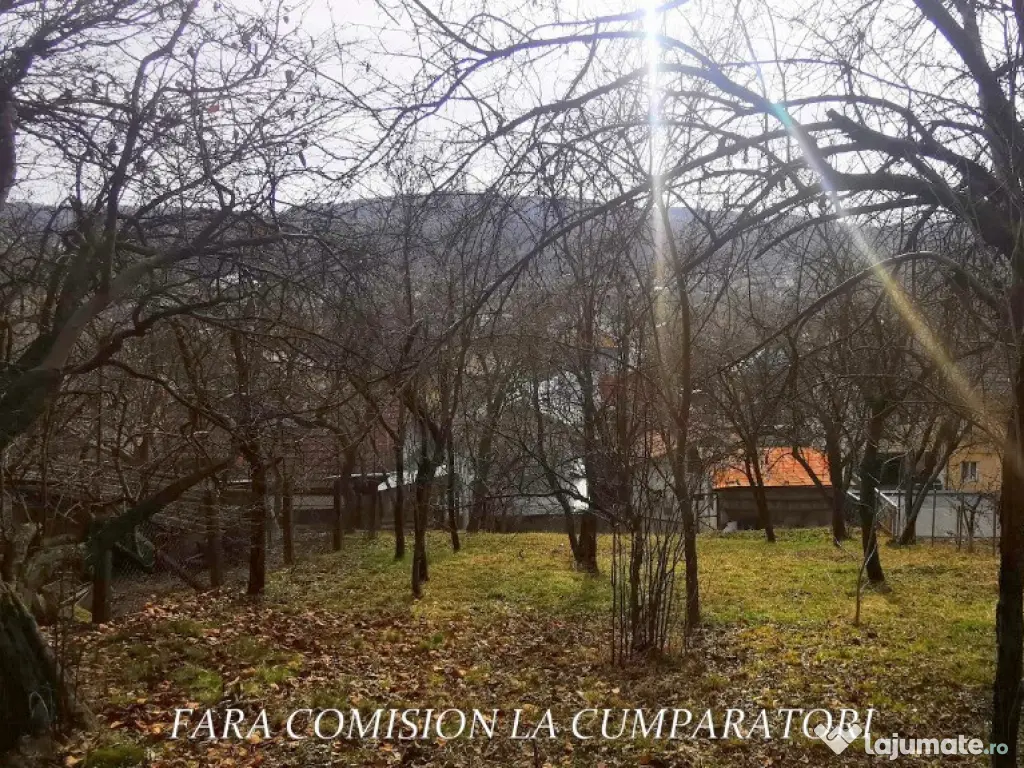 STIRBEI - VODA, CASA CU TEREN 2000 MP