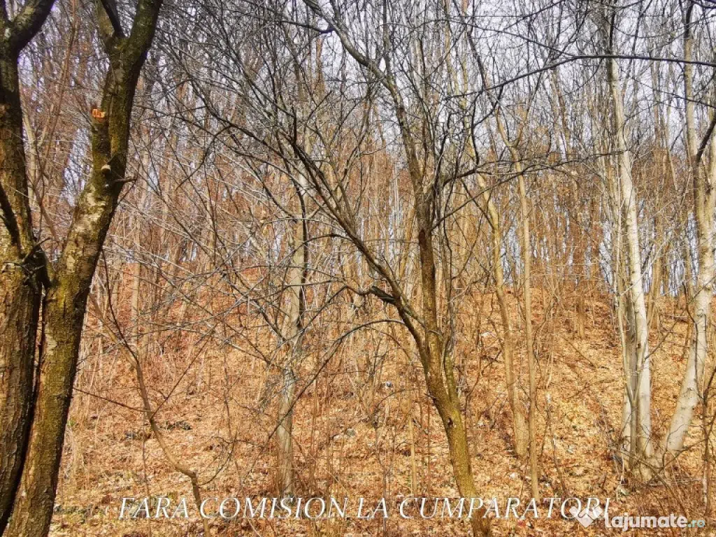 STIRBEI - VODA, CASA CU TEREN 2000 MP