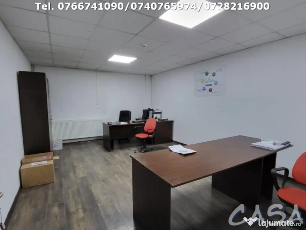 Hala + Spatii birouri, Strada Lt. Col. D-tru Petrescu 