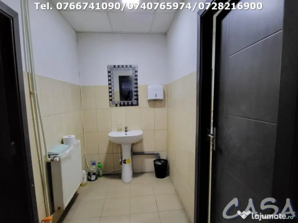 Hala + Spatii birouri, Strada Lt. Col. D-tru Petrescu 