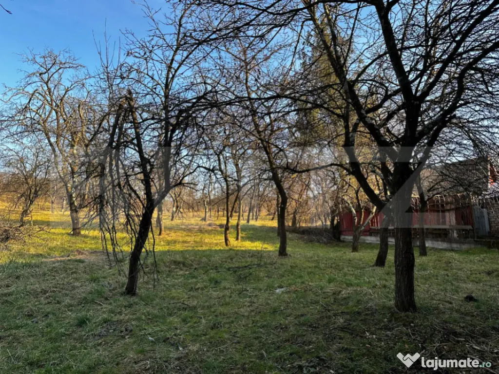 Casa cu 4 camere,baie, bucatarie,anexe.pivniță teren 2500 