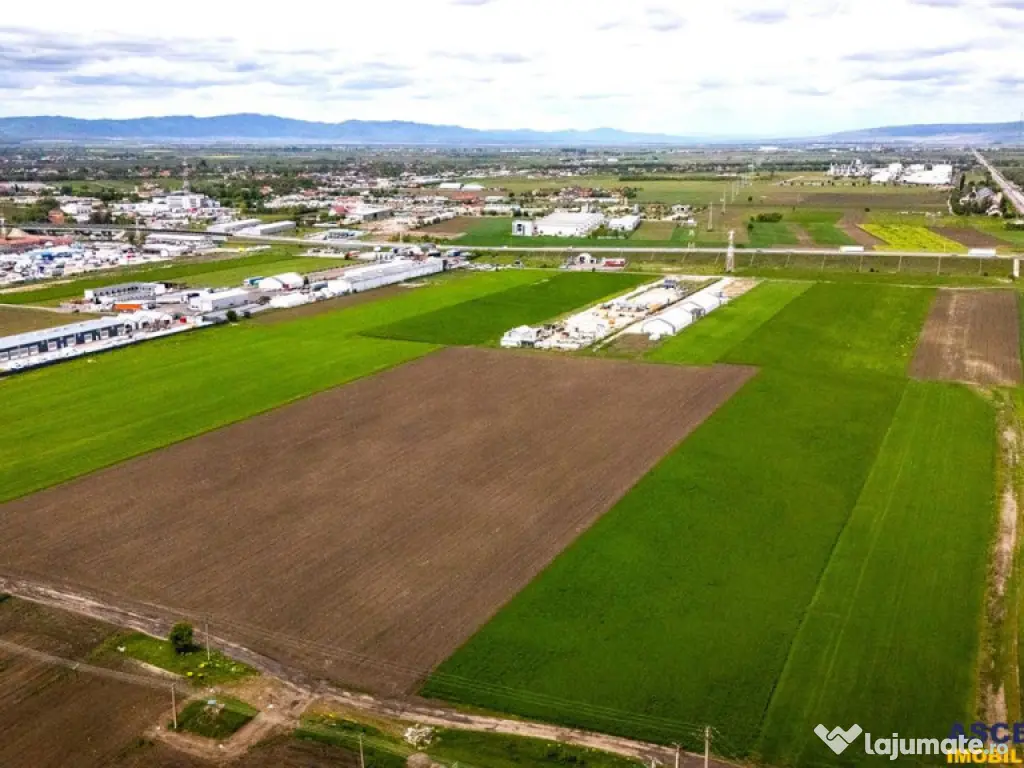 FILM! Teren intravilan, cu PUZ, pe 10.000 mp, Grivitei, Bras 