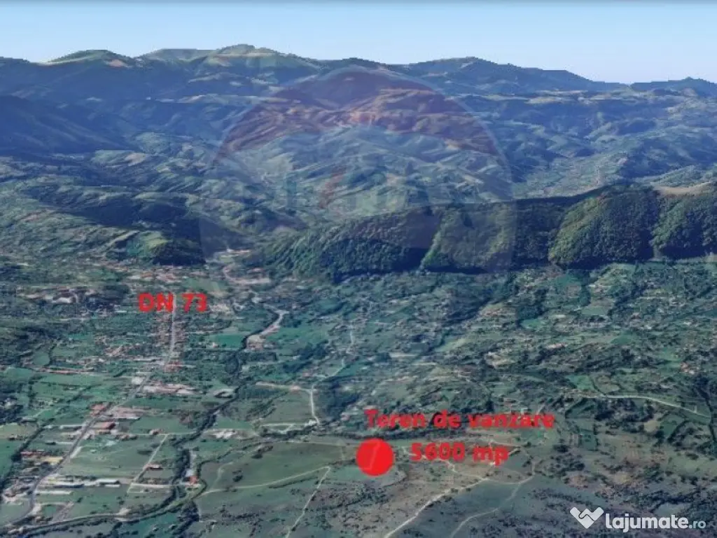 Teren Tohanul Nou 4500mp, in spate Wolf