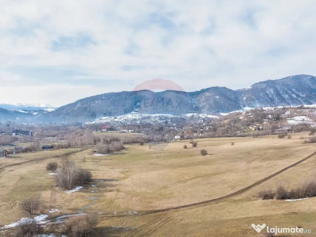 Teren Tohanul Nou 4500mp, in spate Wolf 