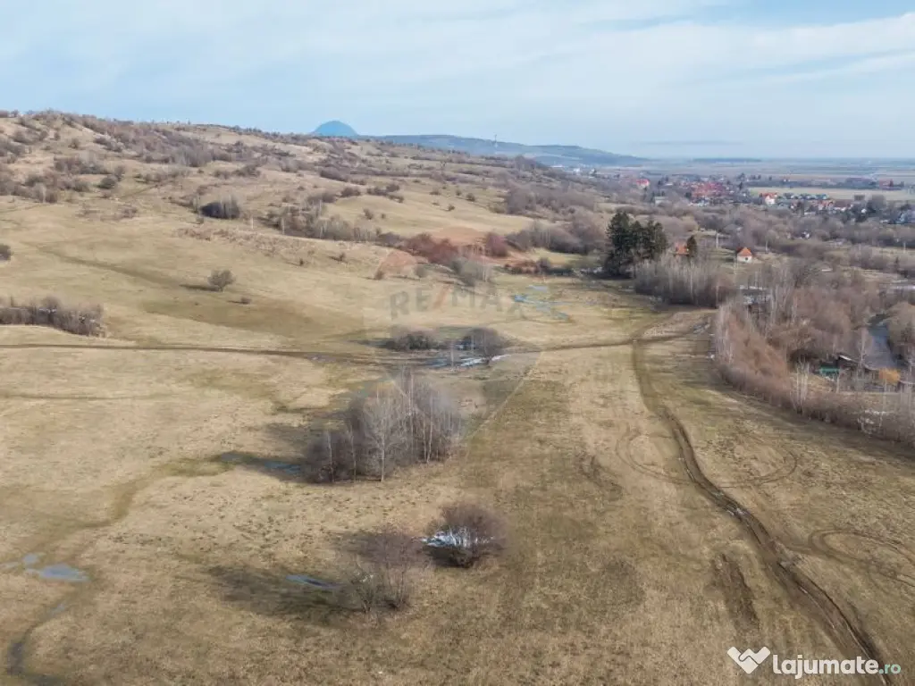 Teren Tohanul Nou 4500mp, in spate Wolf 