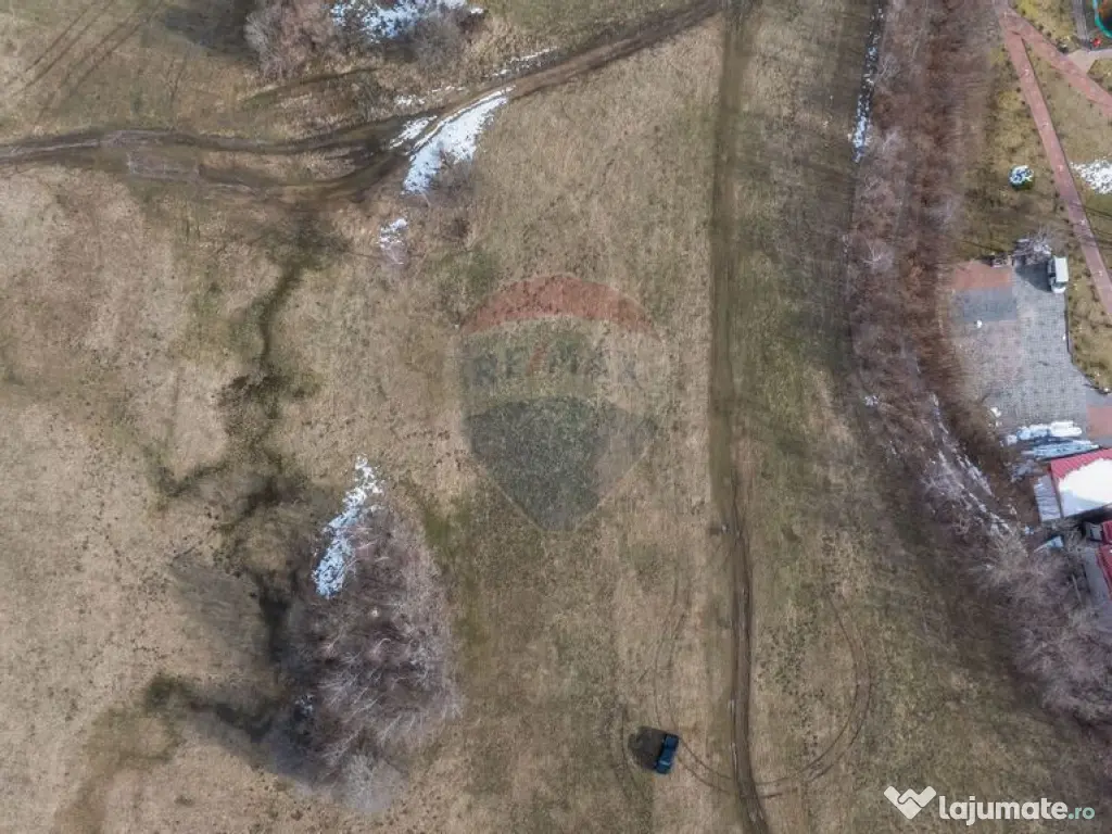 Teren Tohanul Nou 4500mp, in spate Wolf 