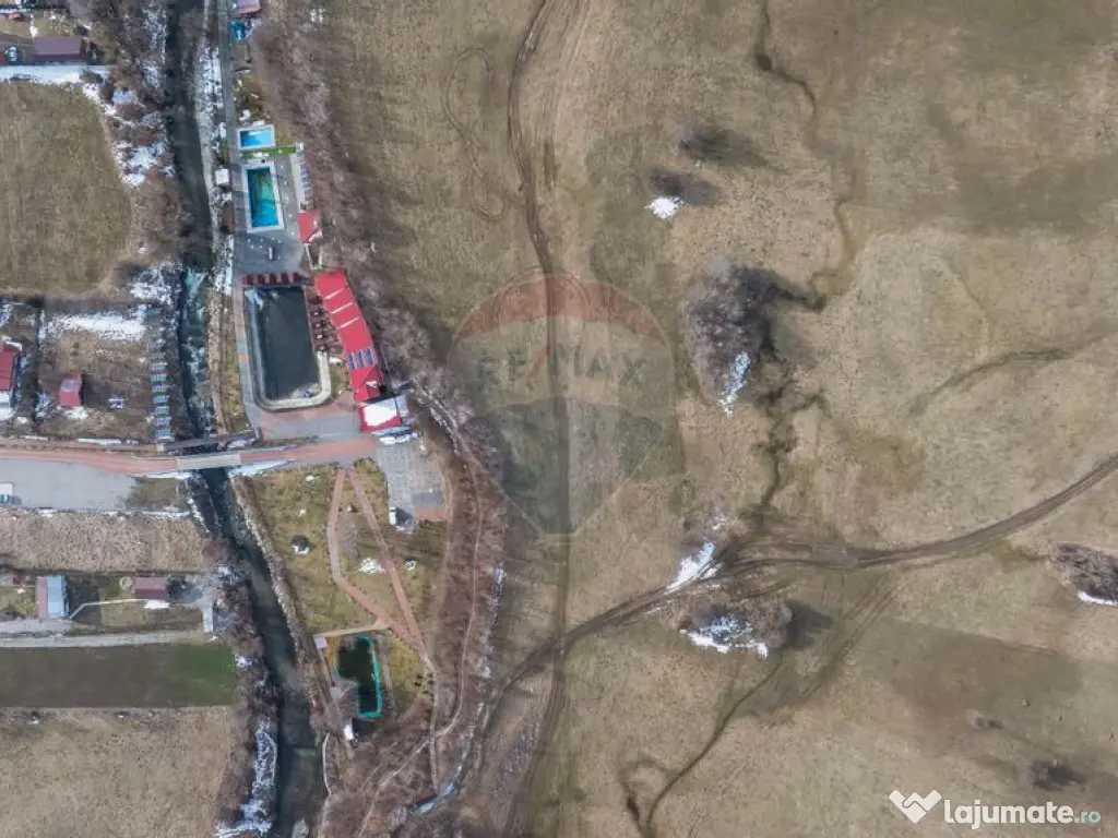 Teren Tohanul Nou 4500mp, in spate Wolf 