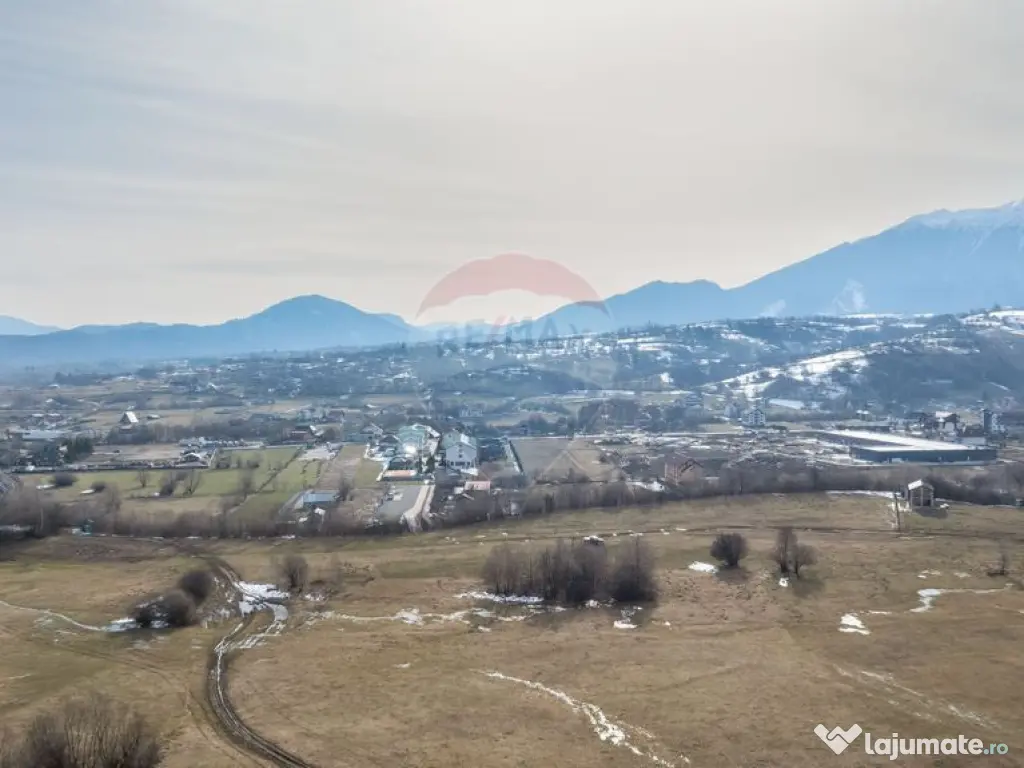 Teren Tohanul Nou 4500mp, in spate Wolf 