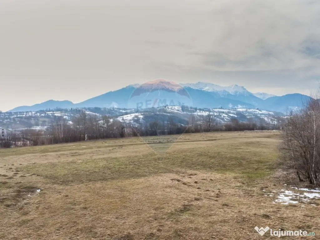 Teren Tohanul Nou 4500mp, in spate Wolf 