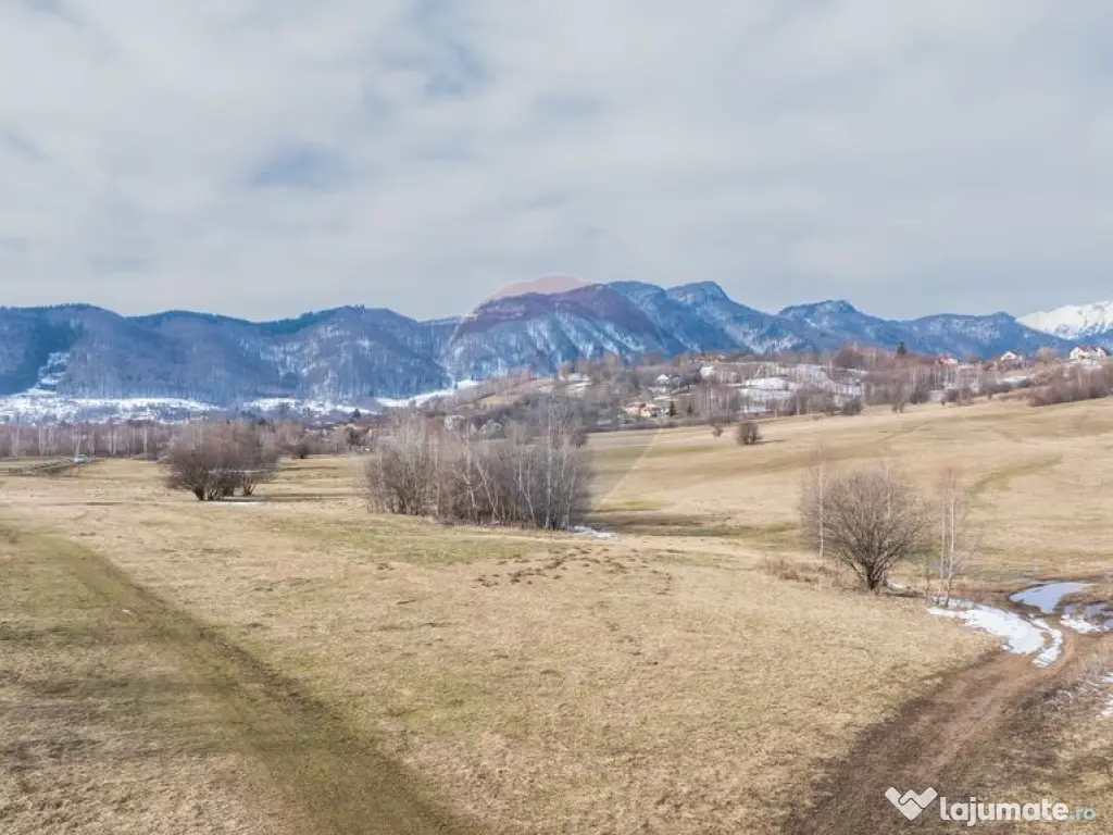 Teren Tohanul Nou 4500mp, in spate Wolf 