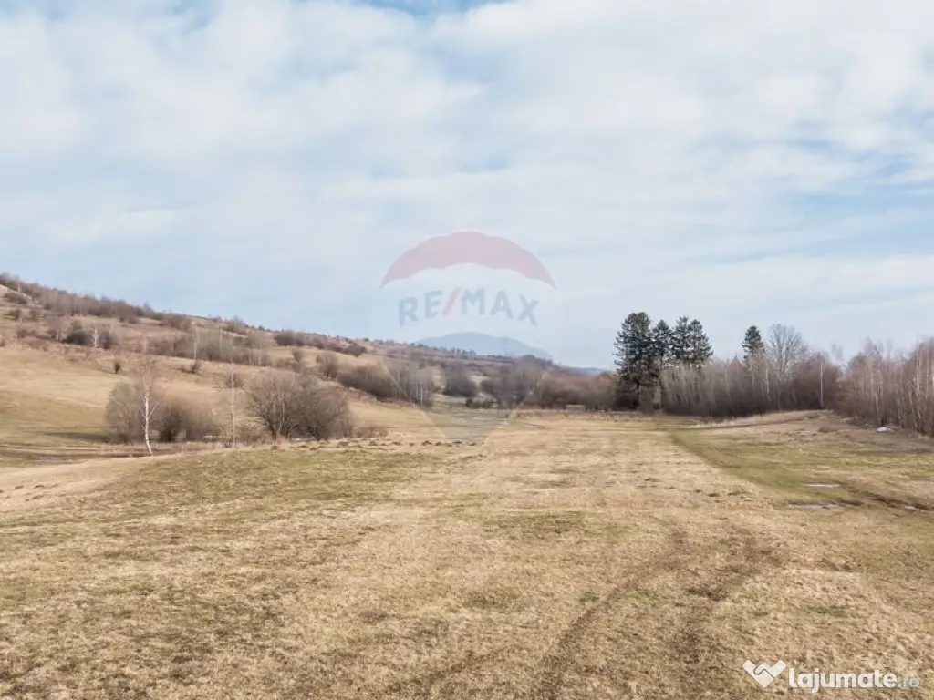 Teren Tohanul Nou 4500mp, in spate Wolf 