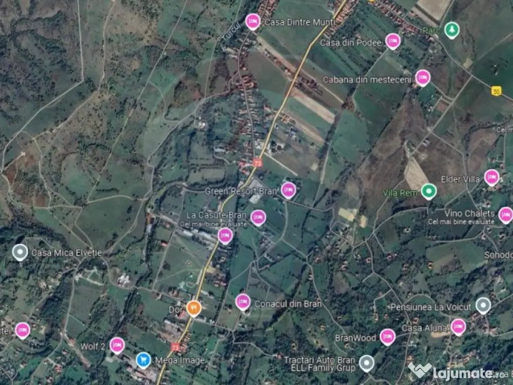 Teren Tohanul Nou 4500mp, in spate Wolf
