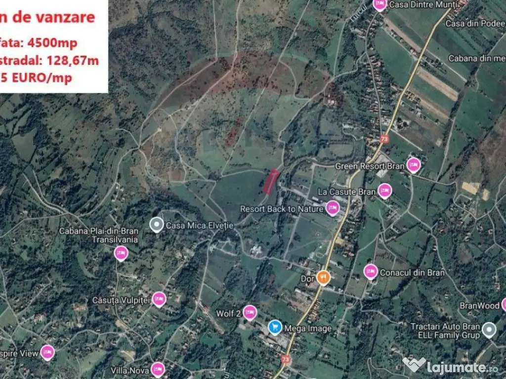 Teren Tohanul Nou 4500mp, in spate Wolf