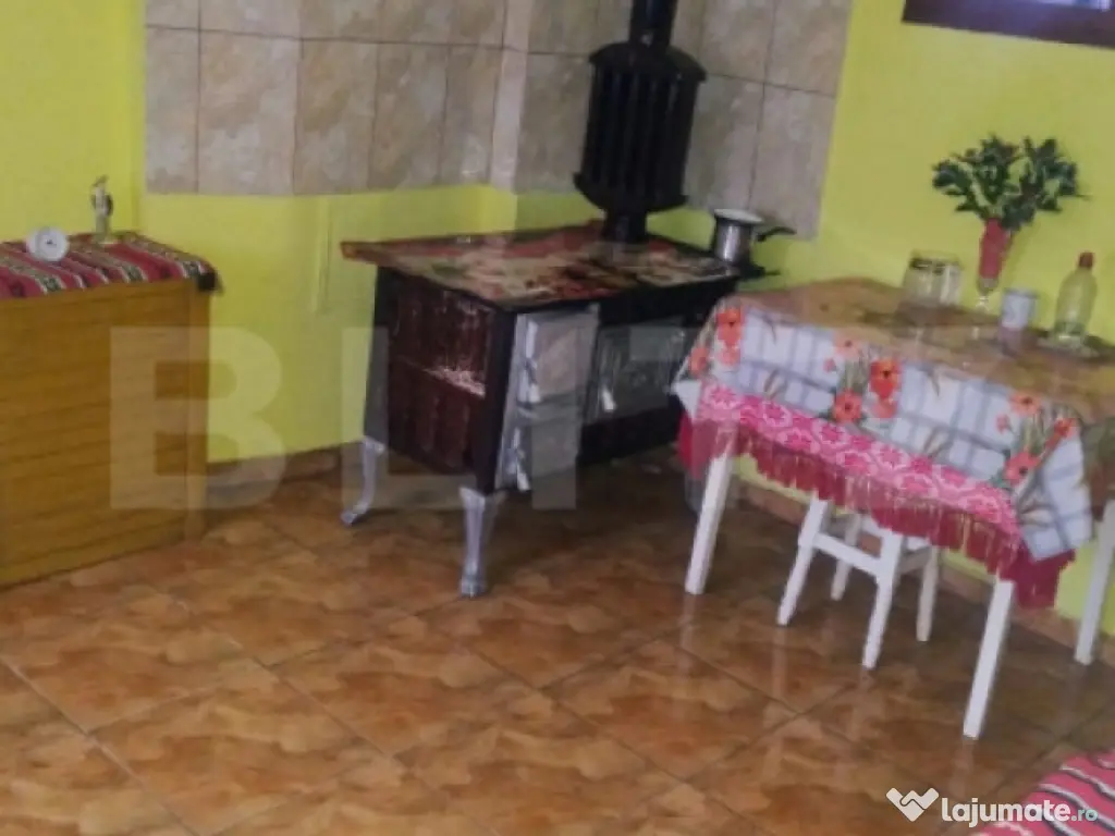 Oportunitate investițională – Casă cu teren extins și 