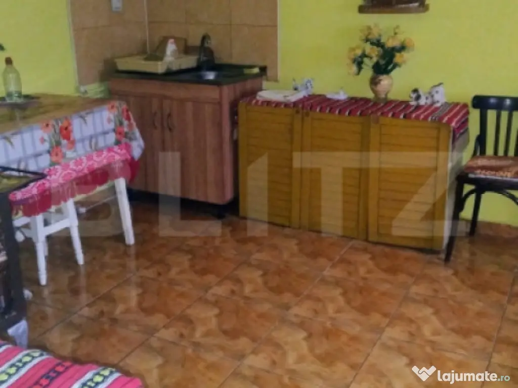 Oportunitate investițională – Casă cu teren extins și 