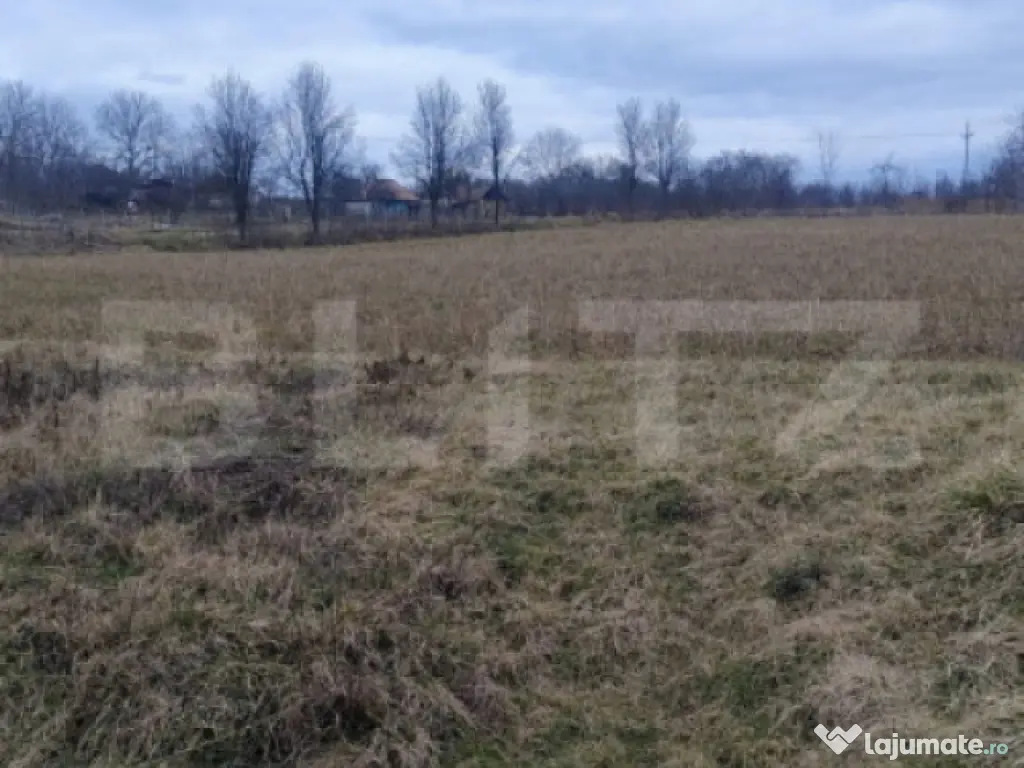 Oportunitate investițională – Casă cu teren extins și 