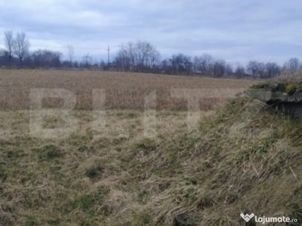 Oportunitate investițională – Casă cu teren extins și 