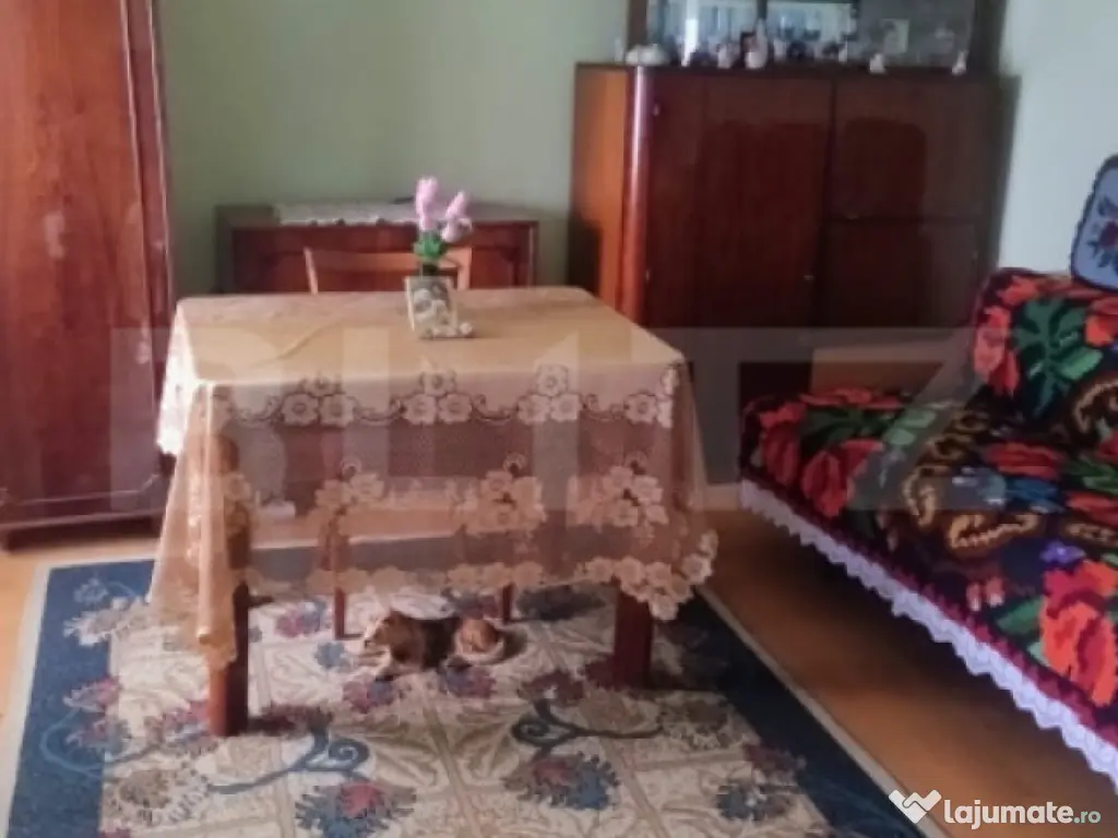 Oportunitate investițională – Casă cu teren extins și 