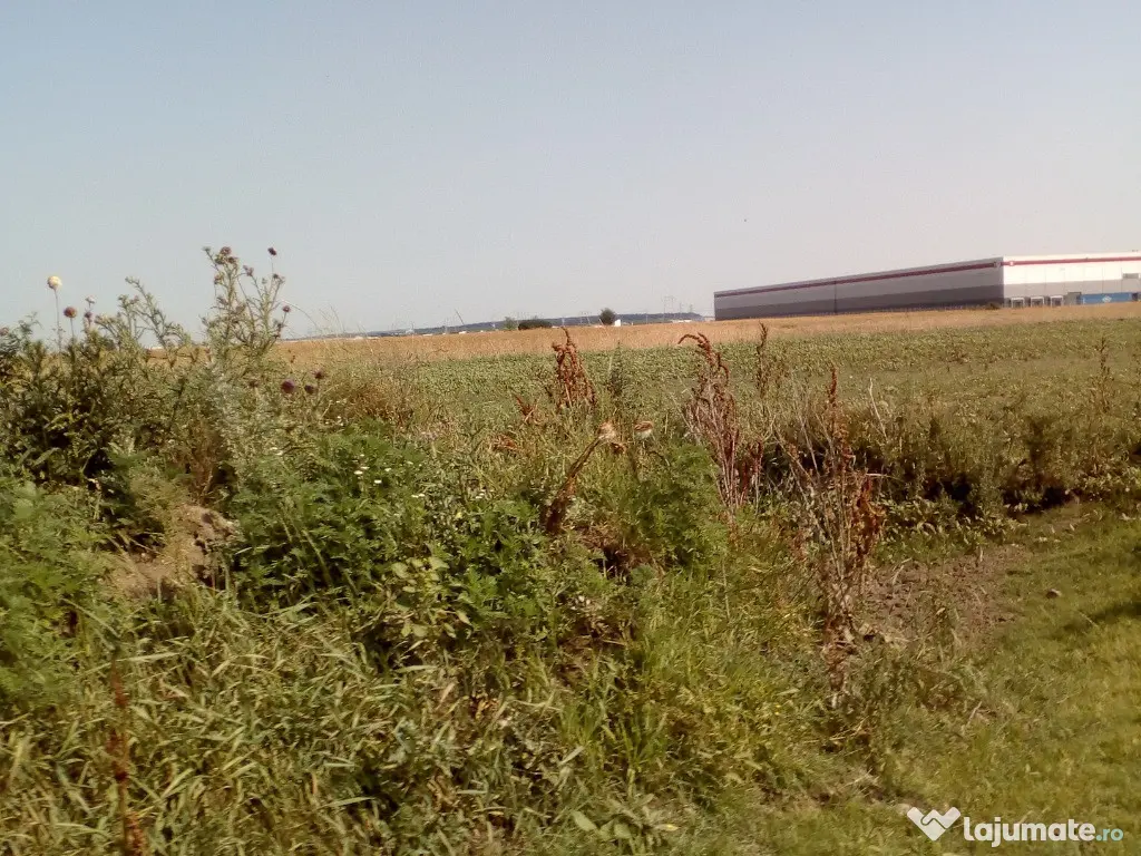 Teren construcții industriale 14000mp, A1-Centura, Domnesti