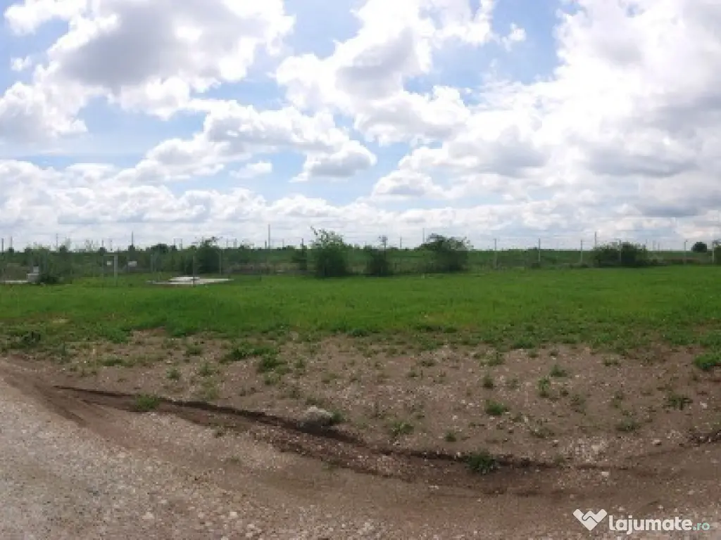 Teren construcții industriale 14000mp, A1-Centura, Domnesti