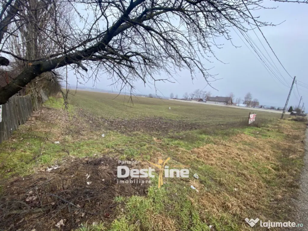 Teren de vanzare Girov- Doina 7200MP 140000 