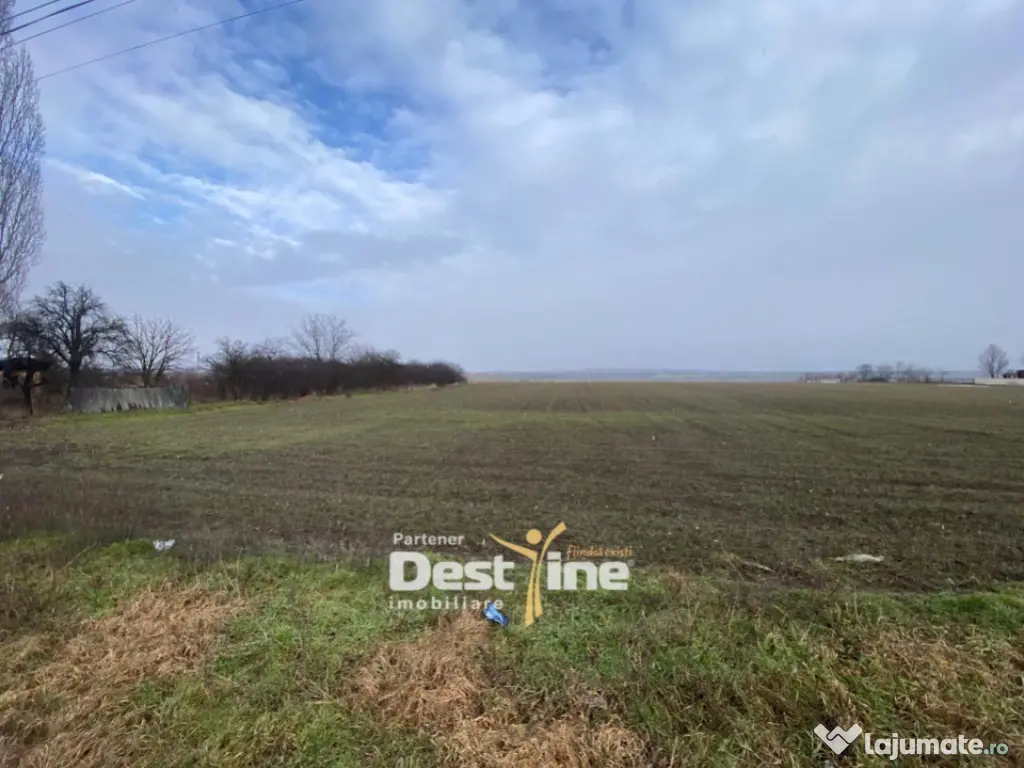 Teren de vanzare Girov- Doina 7200MP 140000 