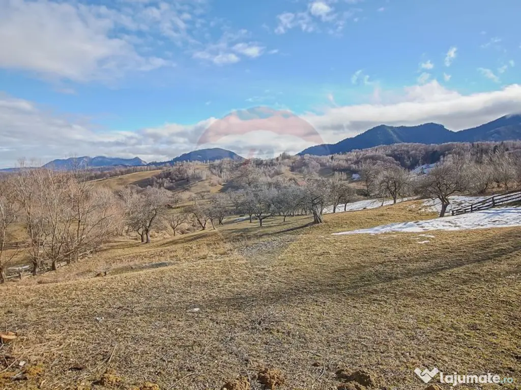 Comision 0%| Teren intravilan Sohodol 2495 mp| Apa si curent 