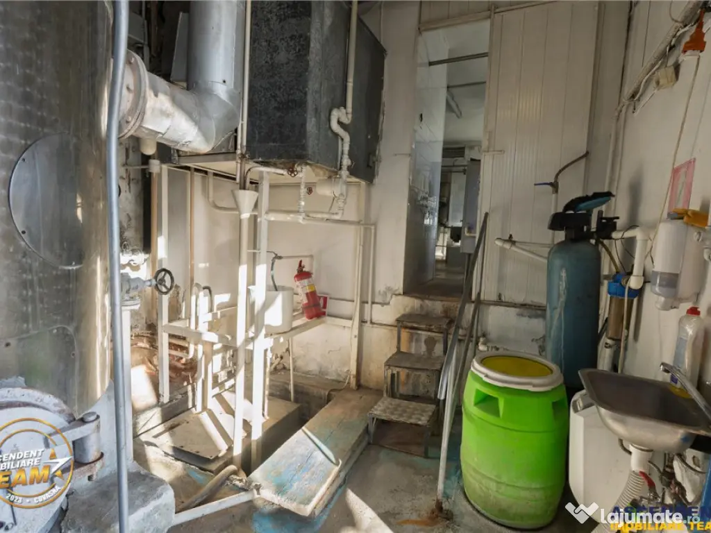 Fabrica de produse lactate birouri 1.300mp teren, Ilieni,