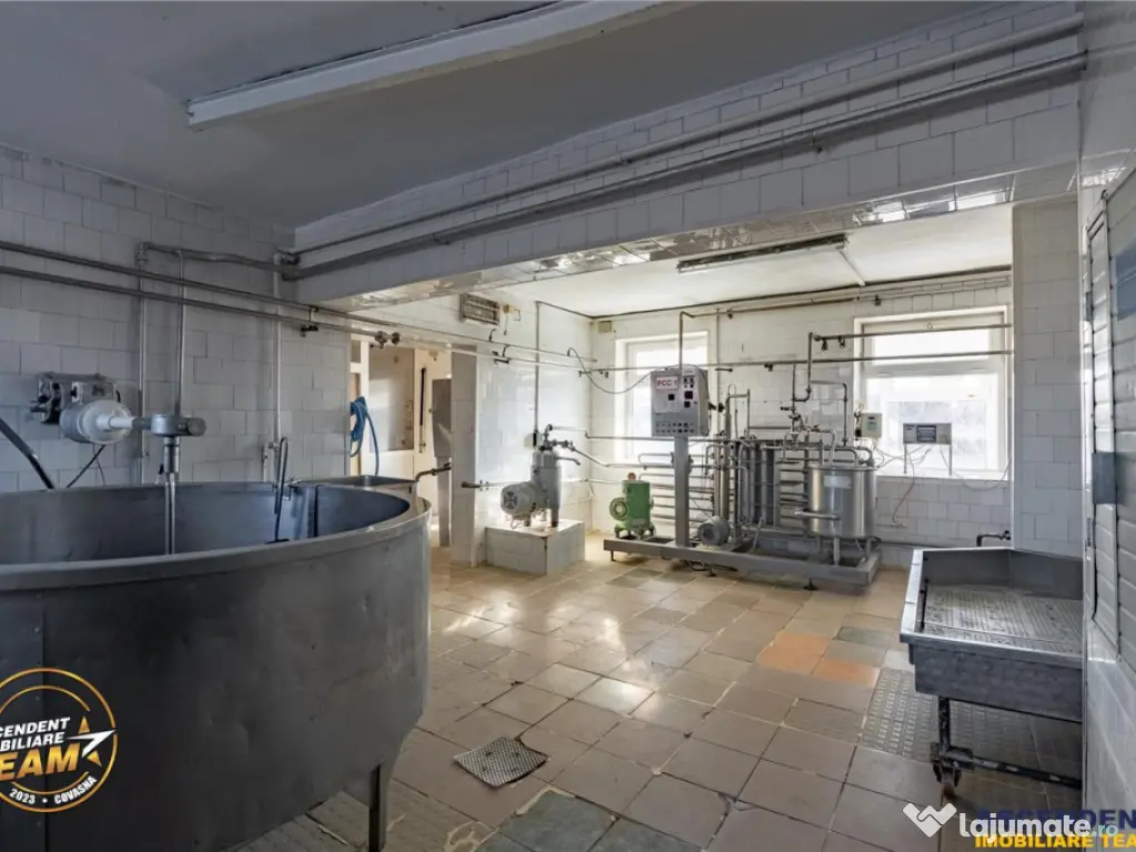 Fabrica de produse lactate birouri 1.300mp teren, Ilieni,
