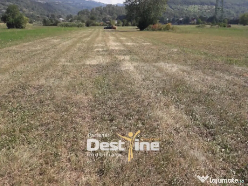 Teren de vanzare Pangarati 58.500 Euro 4488mp Intravilan 