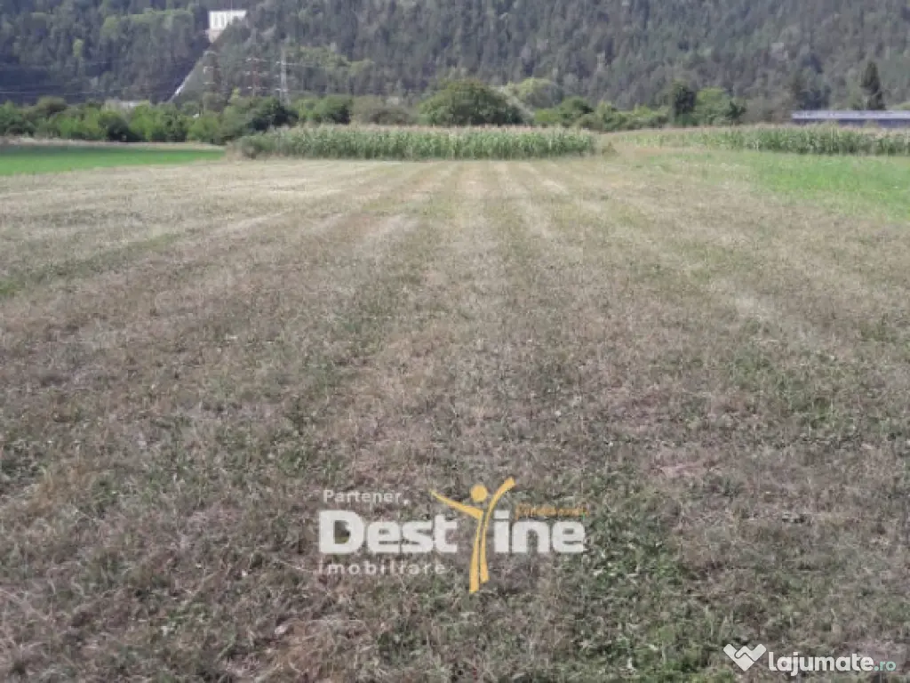 Teren de vanzare Pangarati 58.500 Euro 4488mp Intravilan 