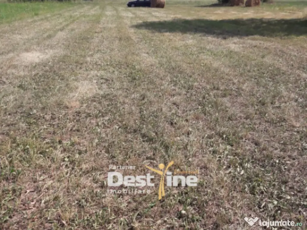 Teren de vanzare Pangarati 58.500 Euro 4488mp Intravilan 