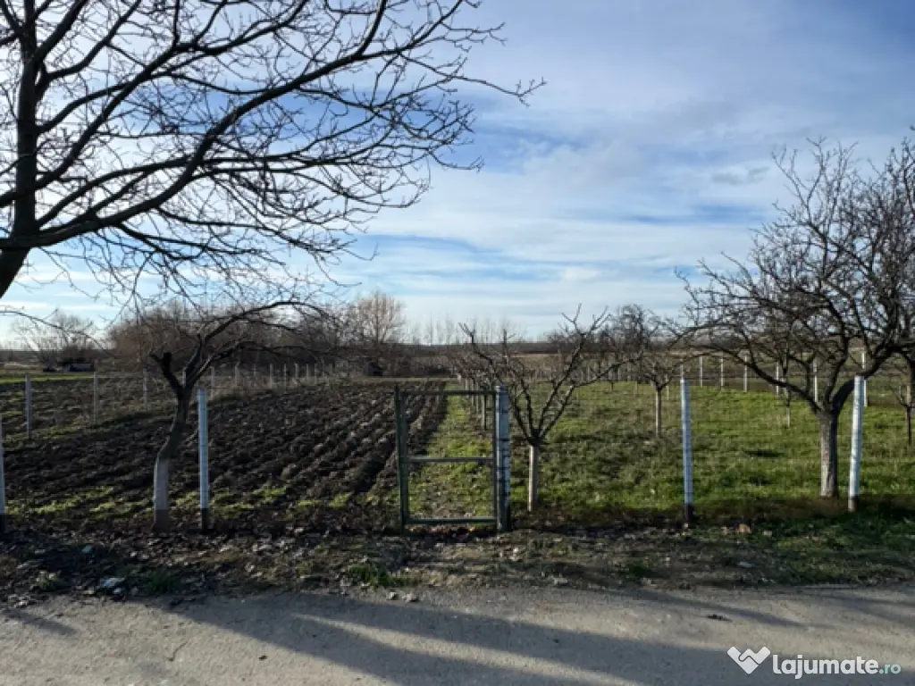 Vând teren intravilan 1300 mp