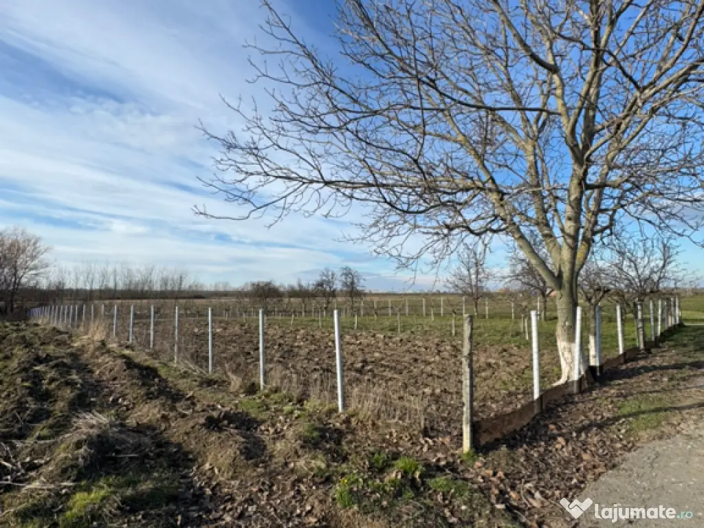 Vând teren intravilan 1300 mp