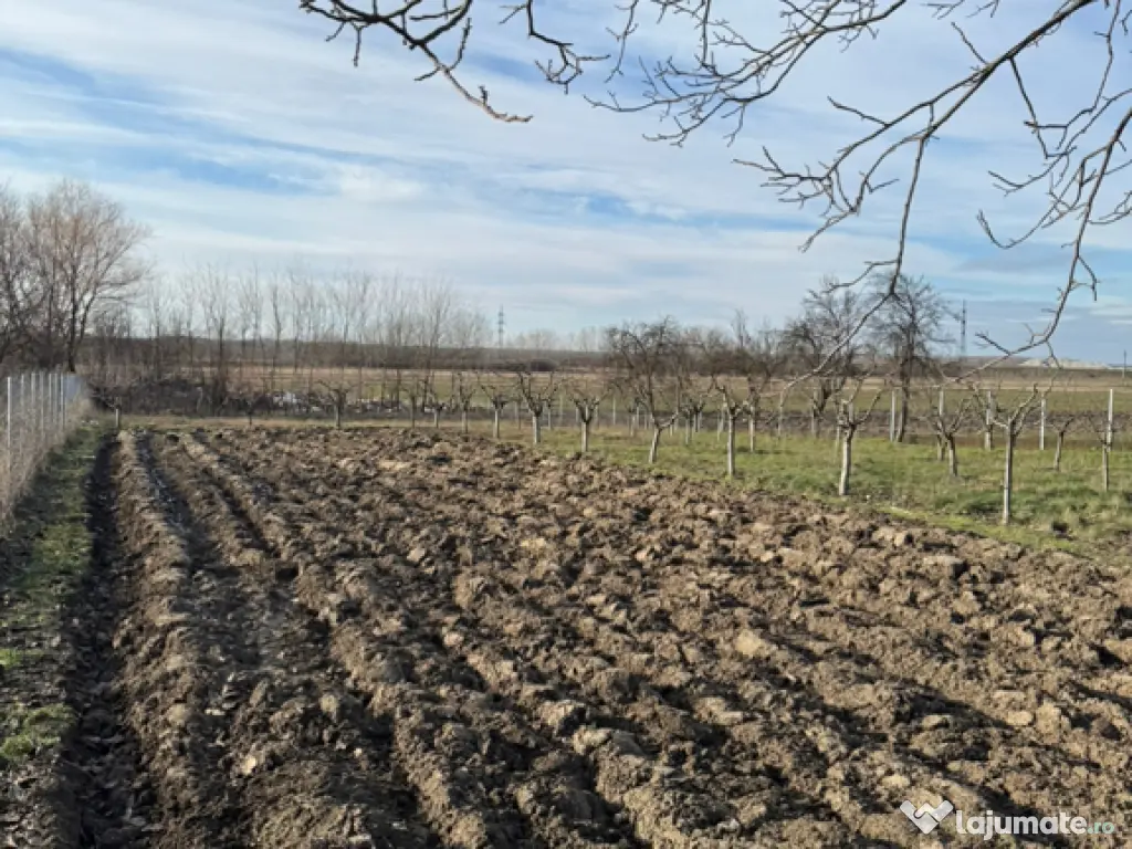 Vând teren intravilan 1300 mp