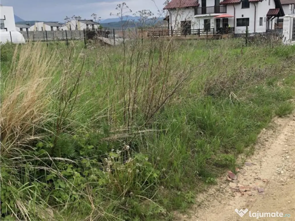 Teren intravilan Cristian 1000 mp 