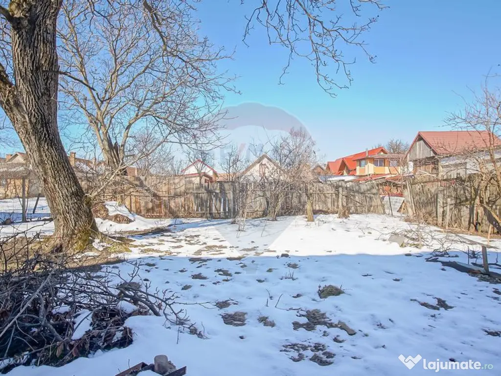 Teren de Vis în Tărlungeni cu Căsuță din Lemn – Li...