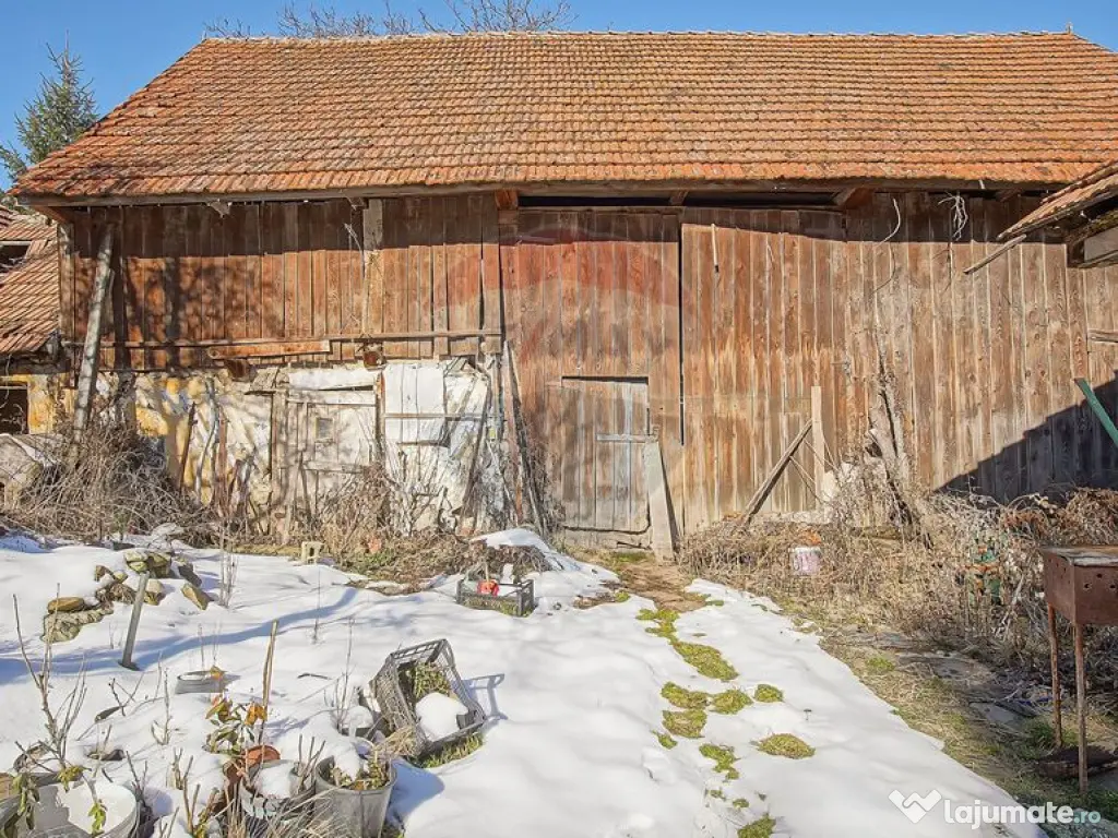 Teren de Vis în Tărlungeni cu Căsuță din Lemn – Li...