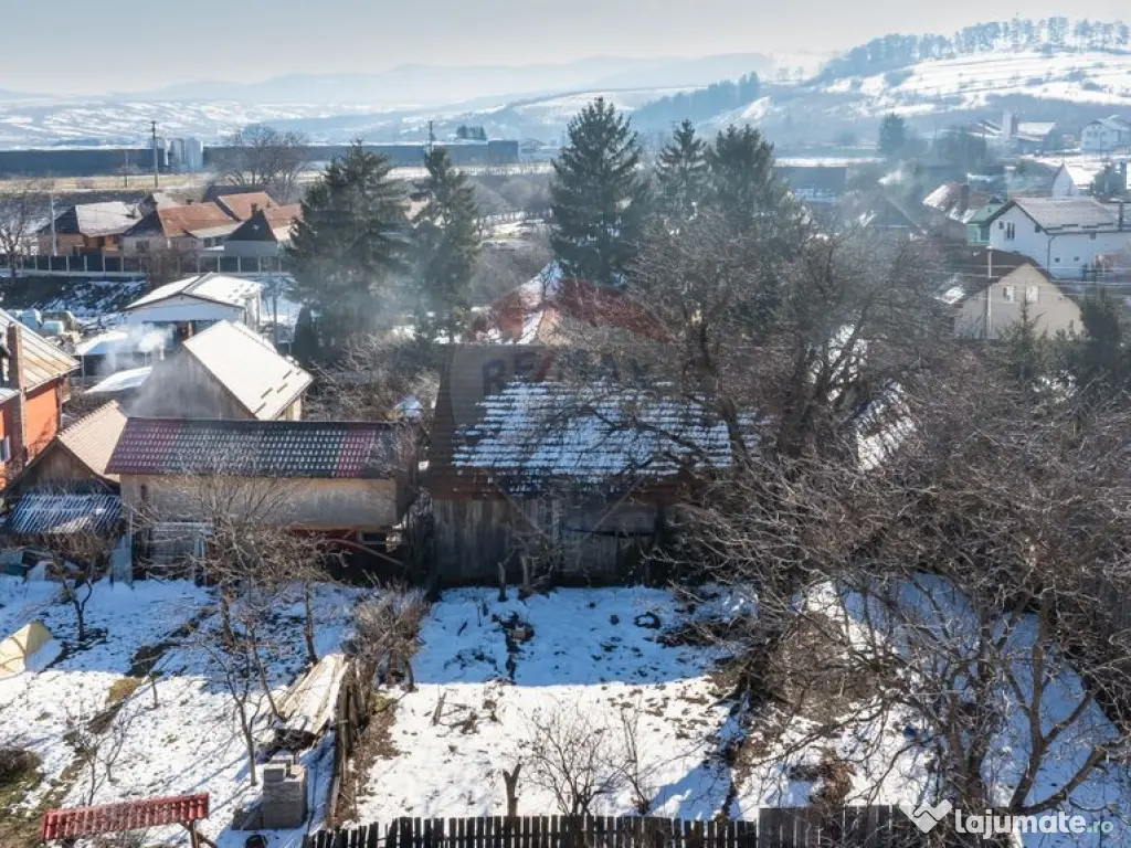 Teren de Vis în Tărlungeni cu Căsuță din Lemn – Li...